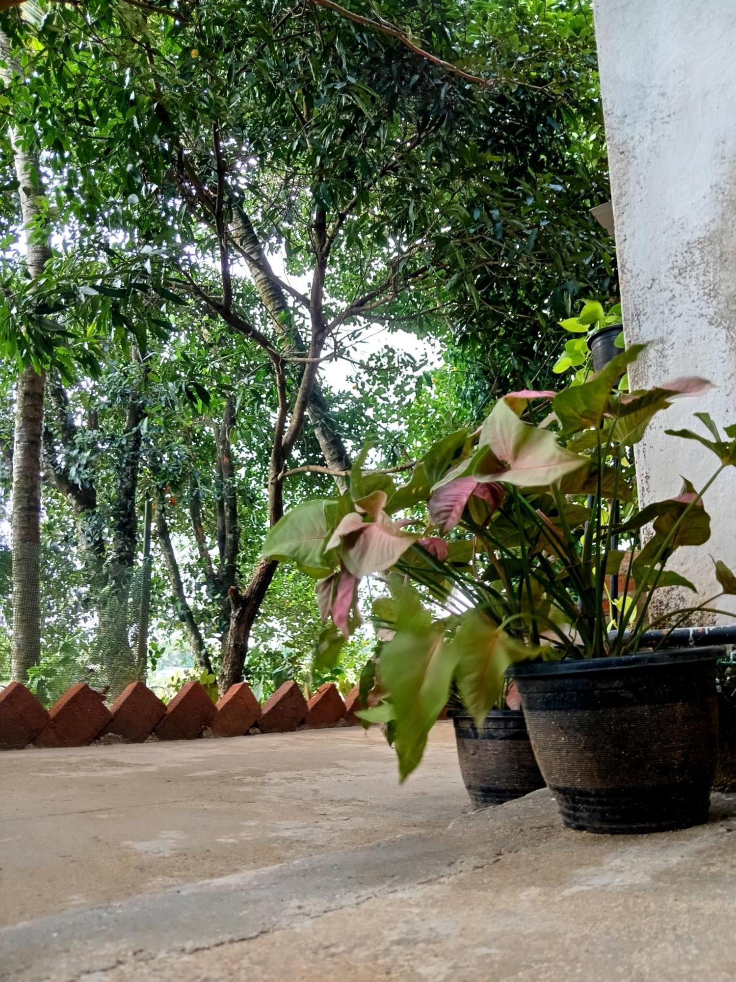 Fly Infinity - Home Stay Kandy Kültér fotó