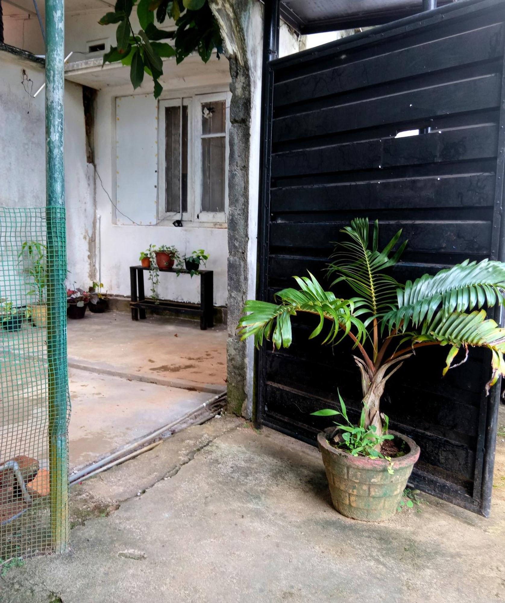 Fly Infinity - Home Stay Kandy Kültér fotó